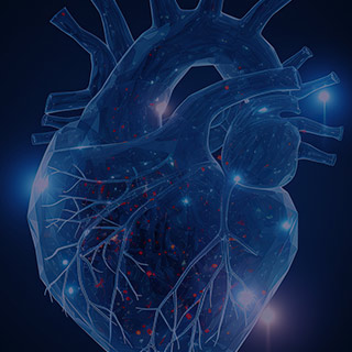 Structural Heart Intervention and Imaging: A Practical Approach Banner